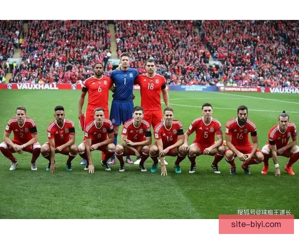 世界杯赛事比分预测与分析全方位指南助你精准预测比赛结果